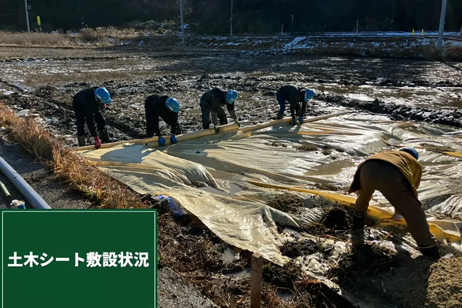 現地の被害状況と課題