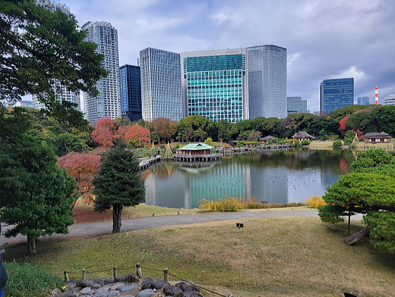 中央ぷらねっと『浜離宮恩賜庭園 庭園整備･落葉清掃活動』に参加しました